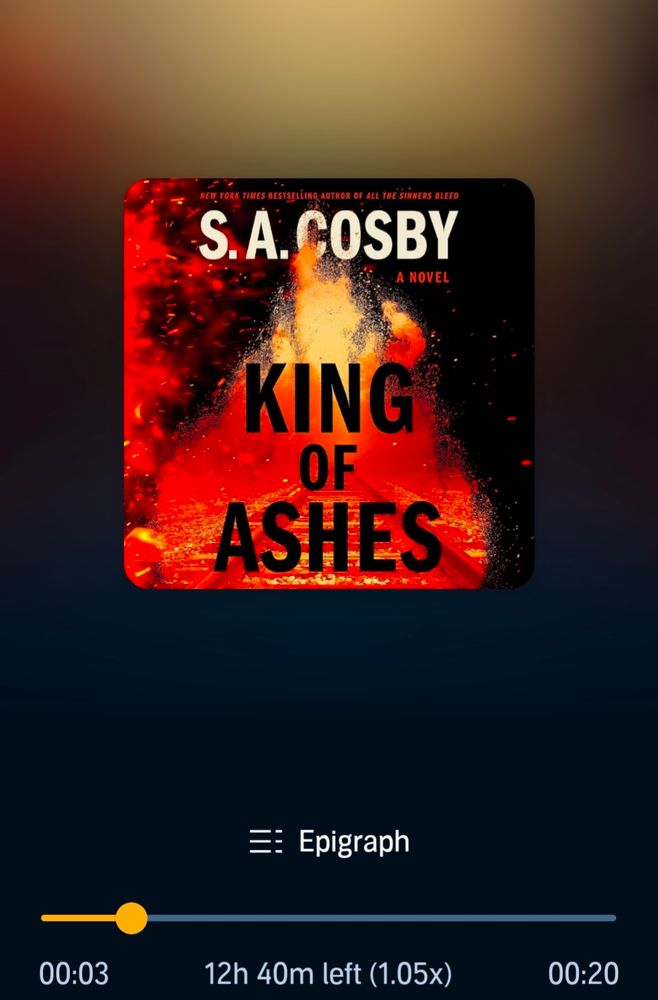 Of the book cover for King of Ashes by SA Cosby 