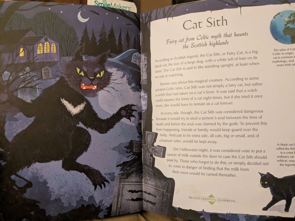 A picture of a large black supernatural cat and the text 