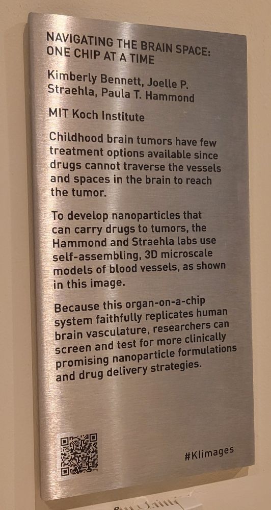 Image of the plaque hung on the wall describing Kimberly's image and research goals (too long to transcribe here).
