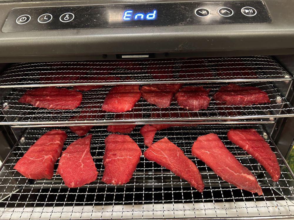 dehydrator with lightly dried beef slices, after 2 hours at 100F