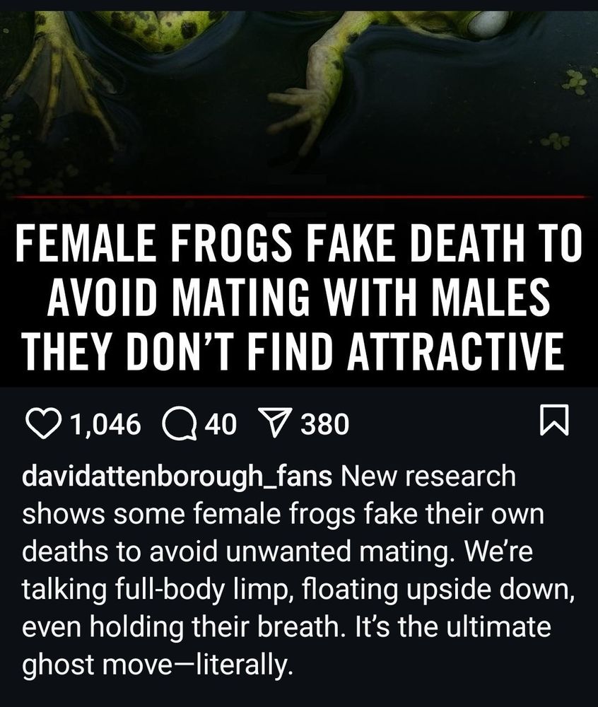 Headline reads: Female Frogs fake death to avoid mating with males they don't find attractive