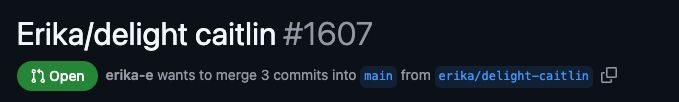 A PR title for #1607 that reads `Erika/delight caitlin`