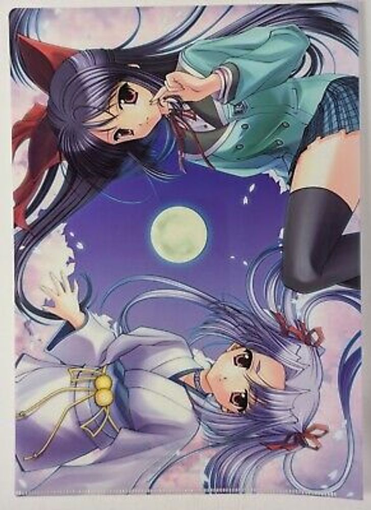 Sakura Setsugekka Asuka Izumo Tamamo Anime Clear File Folder Naruse Hirofumi A4