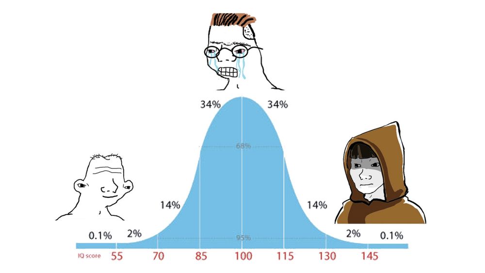 https://knowyourmeme.com/memes/iq-bell-curve-midwit