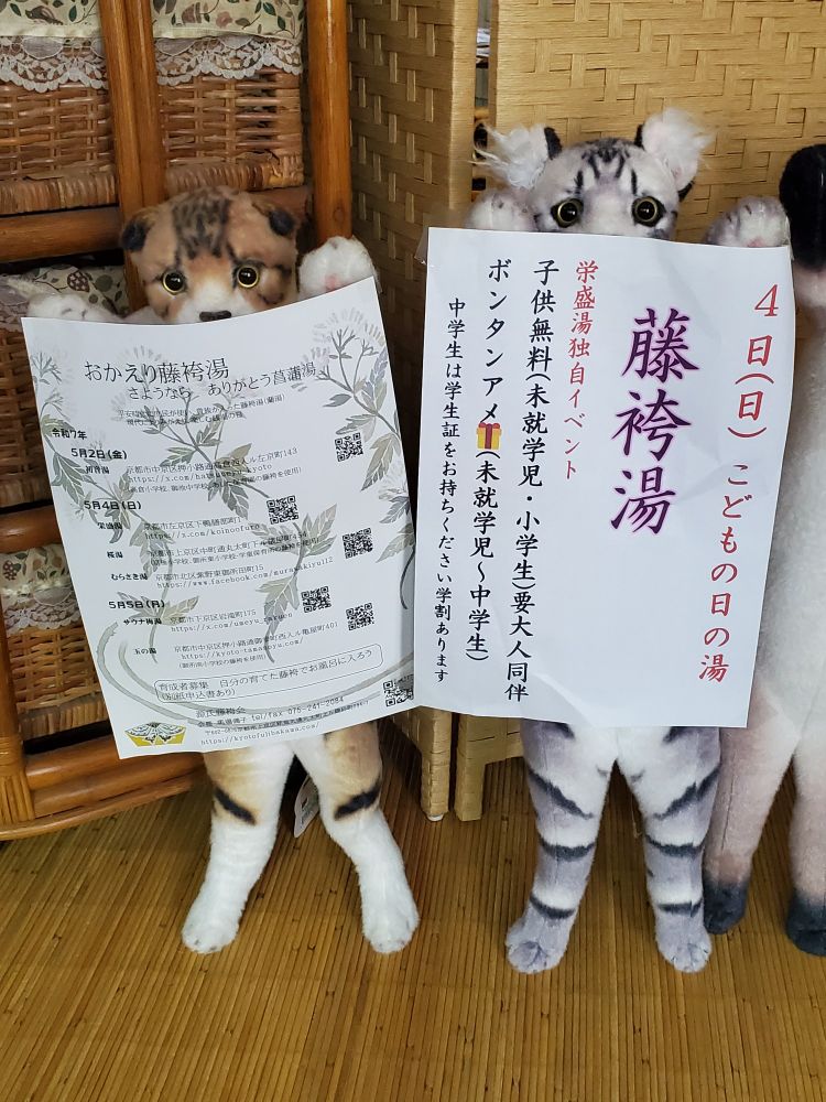 たっちぃネコ1号はやはり違う😆