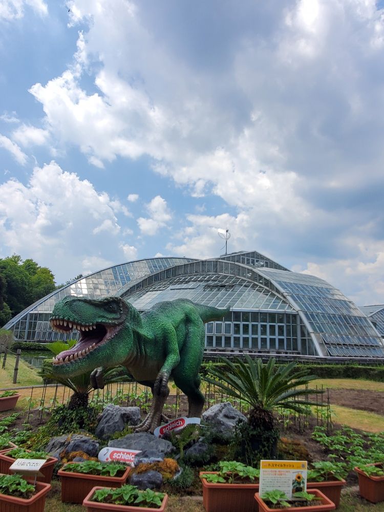ショクダイオオコンニャクが咲く温室
恐竜はいつもいない…イベントかな？