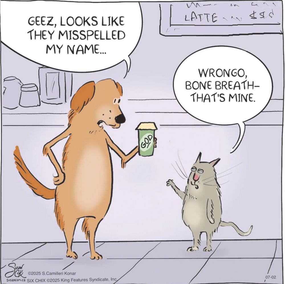 a dog and cat at Starbucks