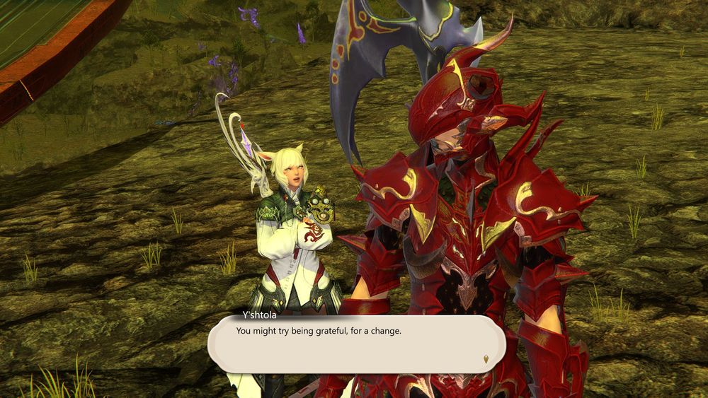 Estinien looks back at Y'shtola as she reprimands him.
Y'shtola: "You might try being grateful, for a change."