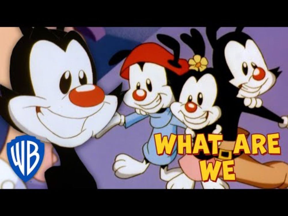 Animaniacs SING-ALONG 🎤 | What Are We? | WB Kids