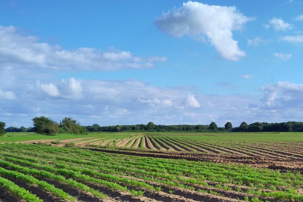 Wem gehört das Land in Brandenburg?