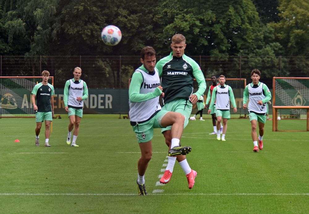 Deman und Topp