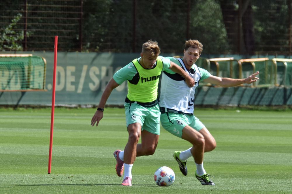 Topp gegen Stark