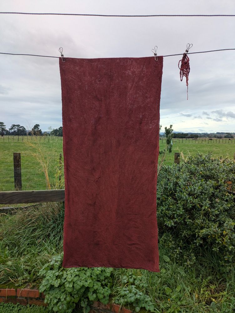 A 2m long piece of linen, dyed brick red with madder, hanging on a washing line to drip dry. In the background is an overgrown herb garden and flat paddocks on an overcast day.