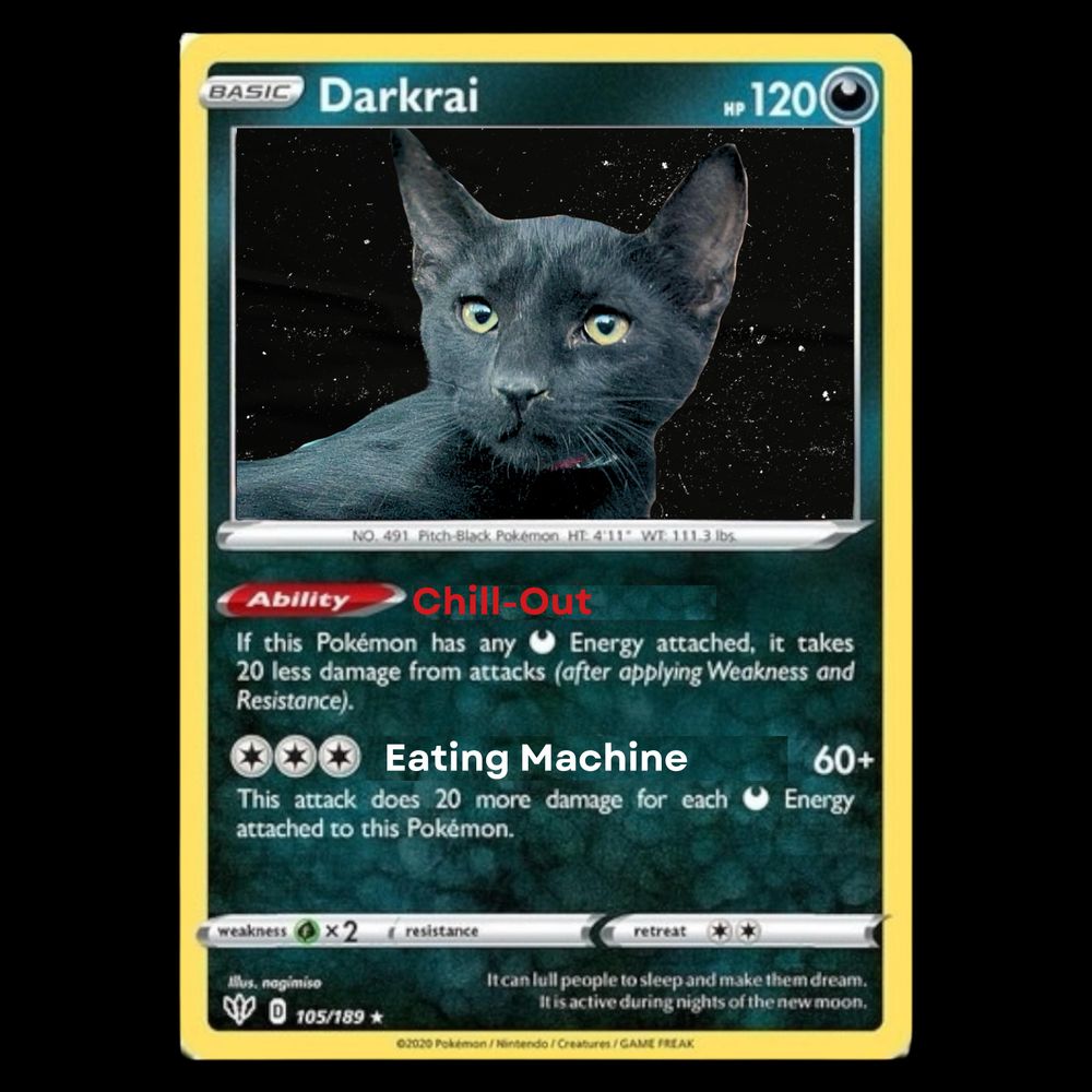 Darkrai is a Domestic Short Hair mix cat, available for adoption in Tracy, CA.