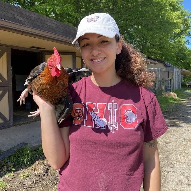Hippo is a Chicken available for adoption in Ravenna, OH.