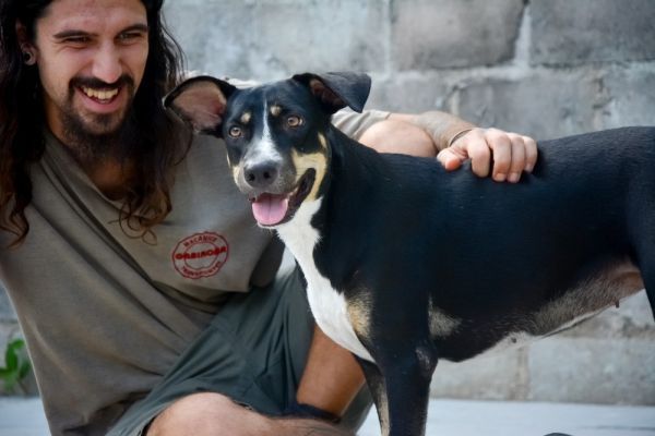 Tula (CP) is a Mixed Breed dog, available for adoption in San Diego, CA.