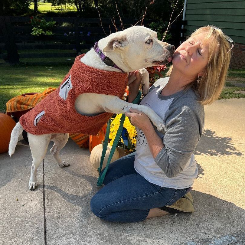 Anastasia is a American Bulldog mix available for adoption in Cumming, GA.