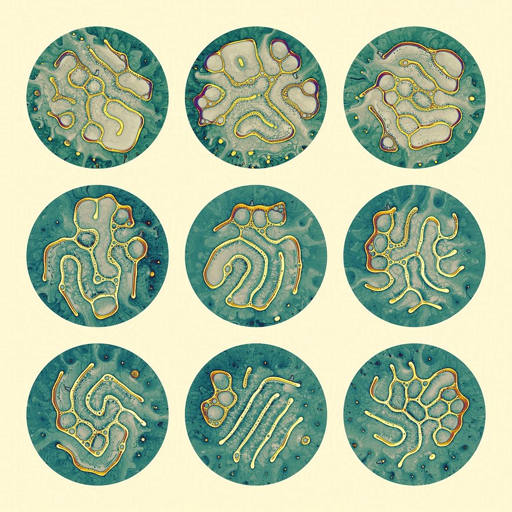 abstract photo composition of inks and oils
