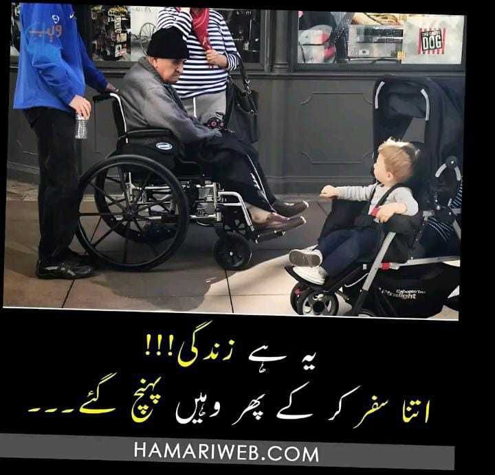 #اردو_زبان 
