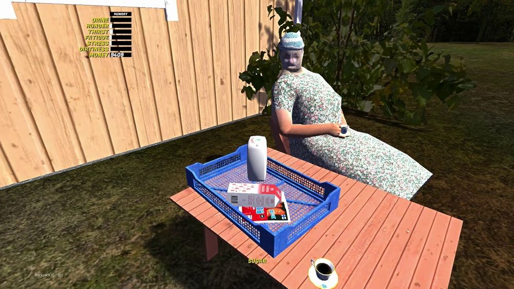 Szene aus My Summer Car: Omi kriegt Einkäufe gebracht