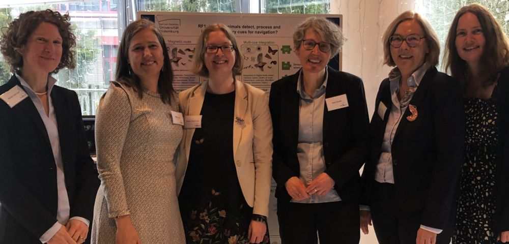 Women in NaviSense: Miriam Liedvogel, Marie Dacke, Pauline Fleischmann, Karin Dedek, Bettina Meyer and Sandra Bouwhuis.