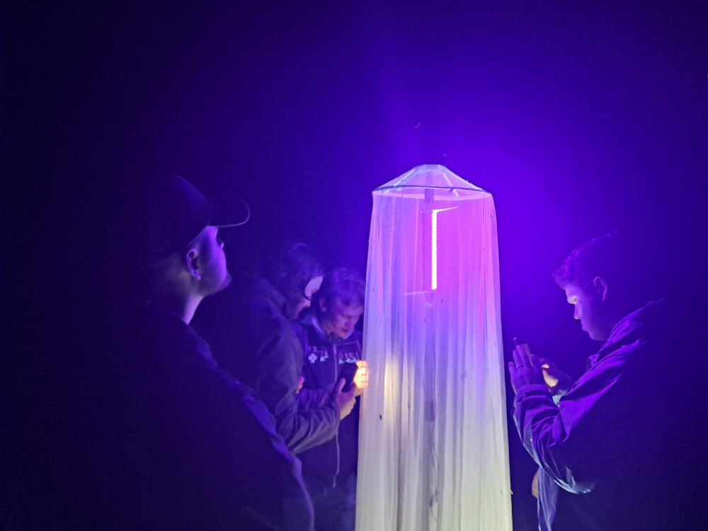 Biologists at work: light trapping in the night