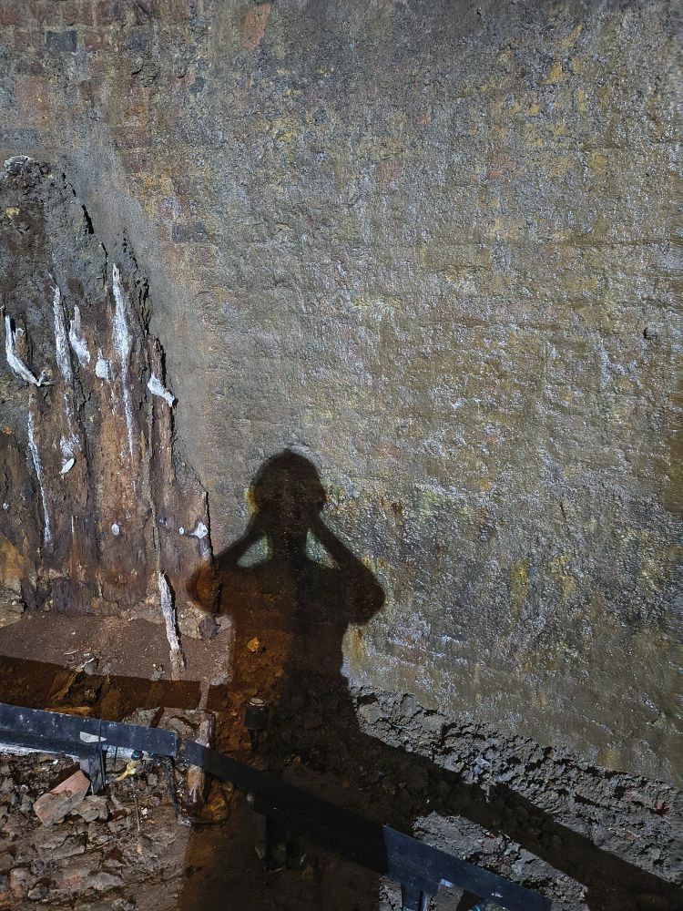 Shadow of me against a dim wet brick wall, with some of the weathered old wood well lining visible