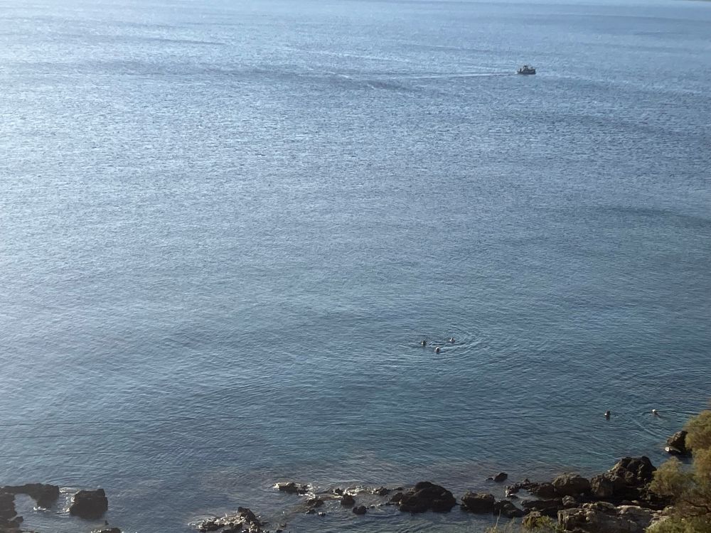 Picture of the sea with folks swimming while talking to each other, in circles