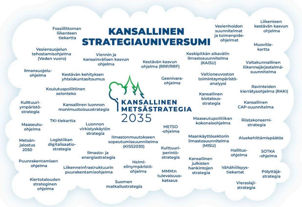 Kuva "Kansallinen strategiauniversumi" jossa niminä esitetty n. 40 erilaista metsiin liittyvää strategiaa tai ohjelmaa.