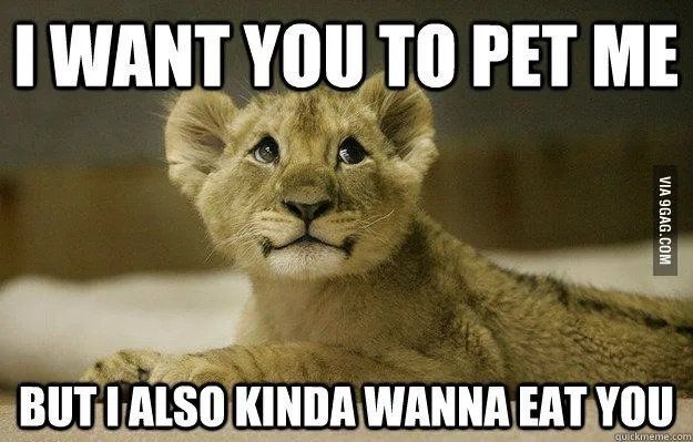 Foto de un leon con el meme
Quiero que me acaricies pero también quiero comerte.

El comerte puede tener una insinuación sexual 