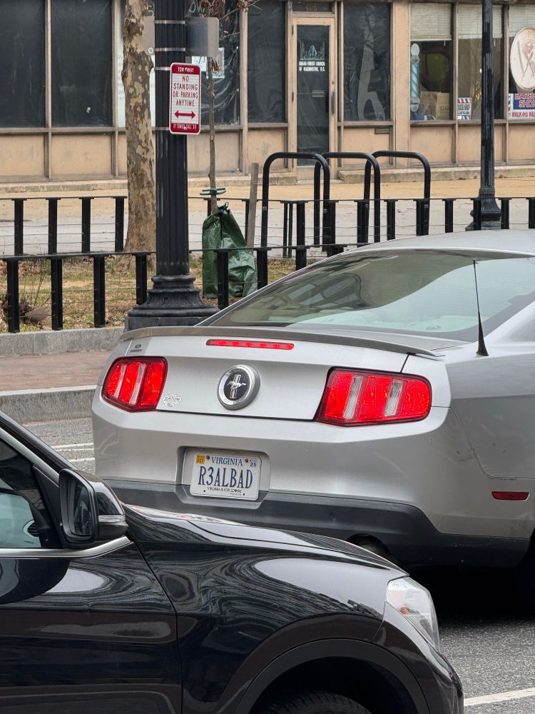 Virginia license plate R3ALBAD on a ford mustang. Taken in DC in February. 