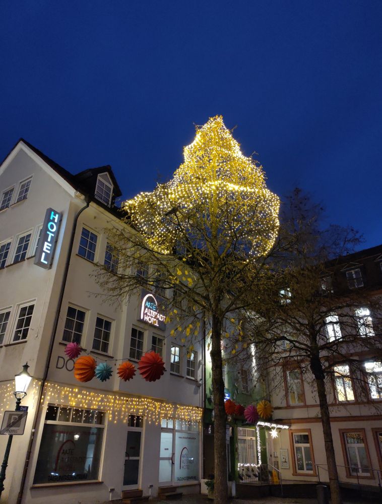 A hotel in Fulda/Germany with an oddly decorated lit up tree in front
