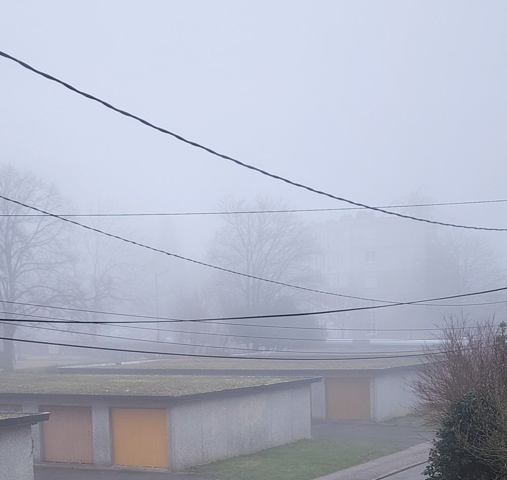 a thick fog. garages. electric wires. trees, faintly, in the background.