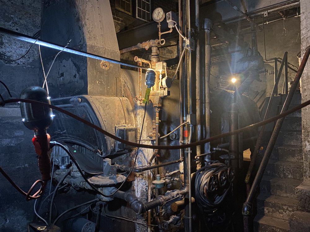 March 2, 2022: Old dragon in an Uptown basement somewhere; steam boiler.