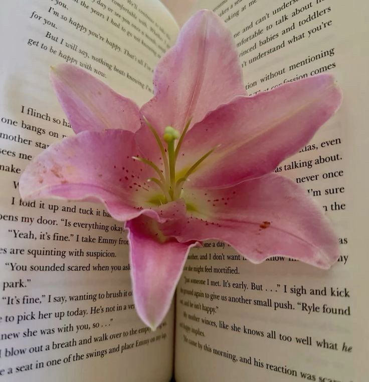 A pink flower between the pages of a book