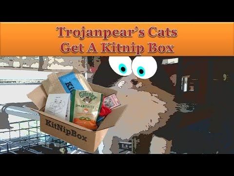Trojanpear's Cats Get A KitNip Box