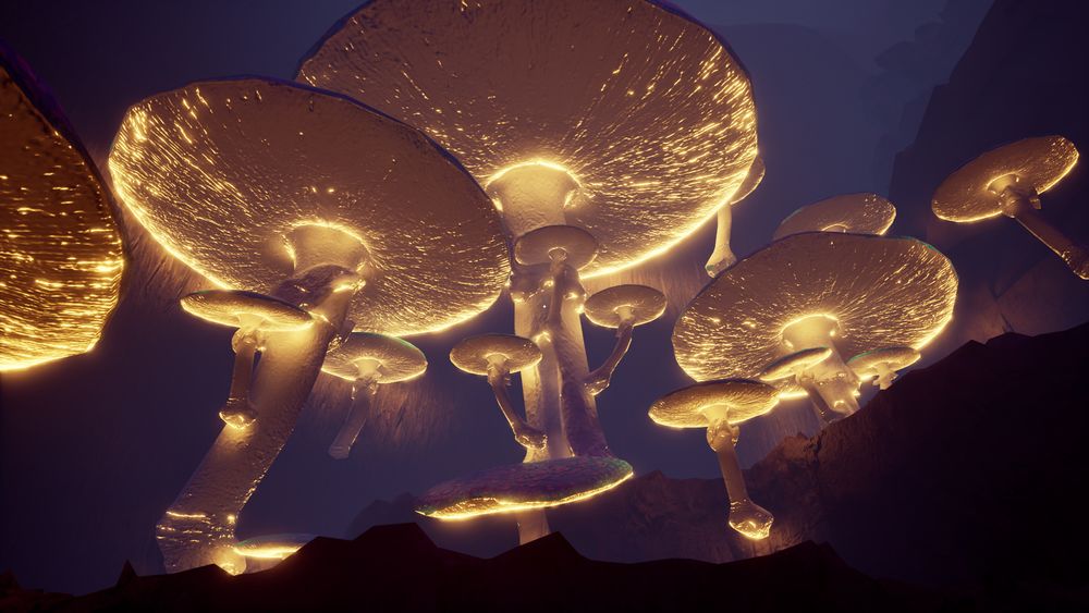A collection of golden glowing mushrooms.