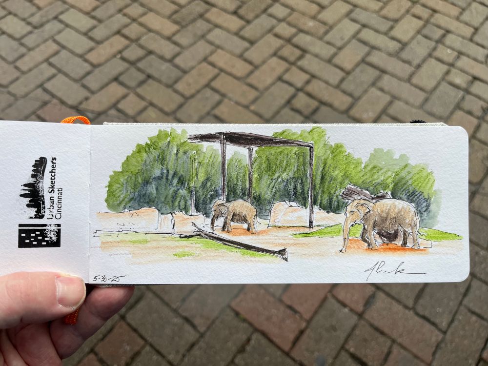A watercolor pencil sketch of elephants at the Cincinnati Zoo. 