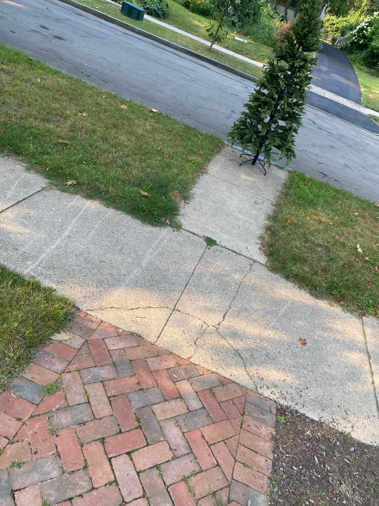 Xmas tree on the curb. 
