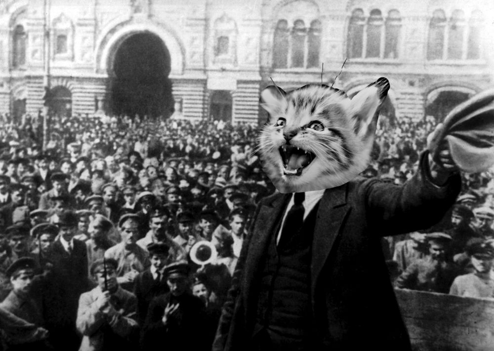 Kitten head photoshopped onto Lenin head as he speaks to the Russian people 