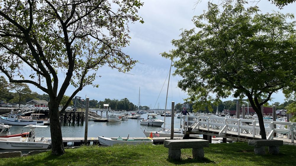 Boats in the water as viewed from a park 