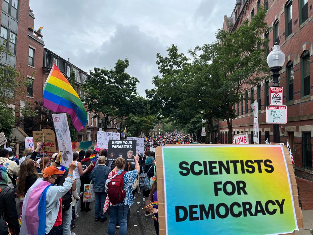 Pride flags and protests signs down Clarendon into south end of Boston 