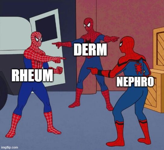 3 spidermans meme with rheum, derm, and nephro