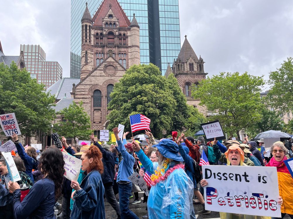 Protesters holding up signs like dissent is patriotic 