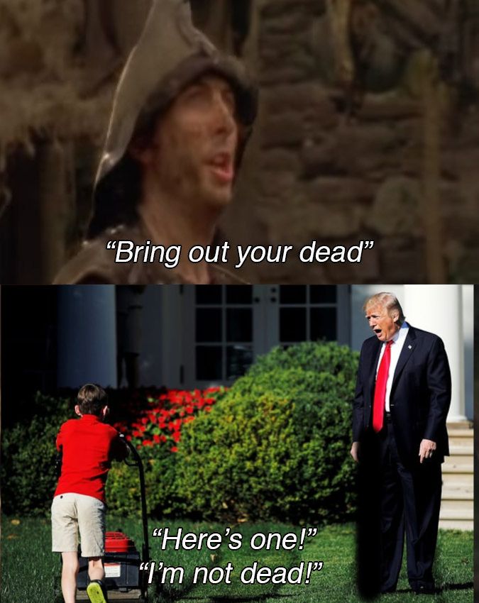 Top panel: Monty Python and the Holy Grail 