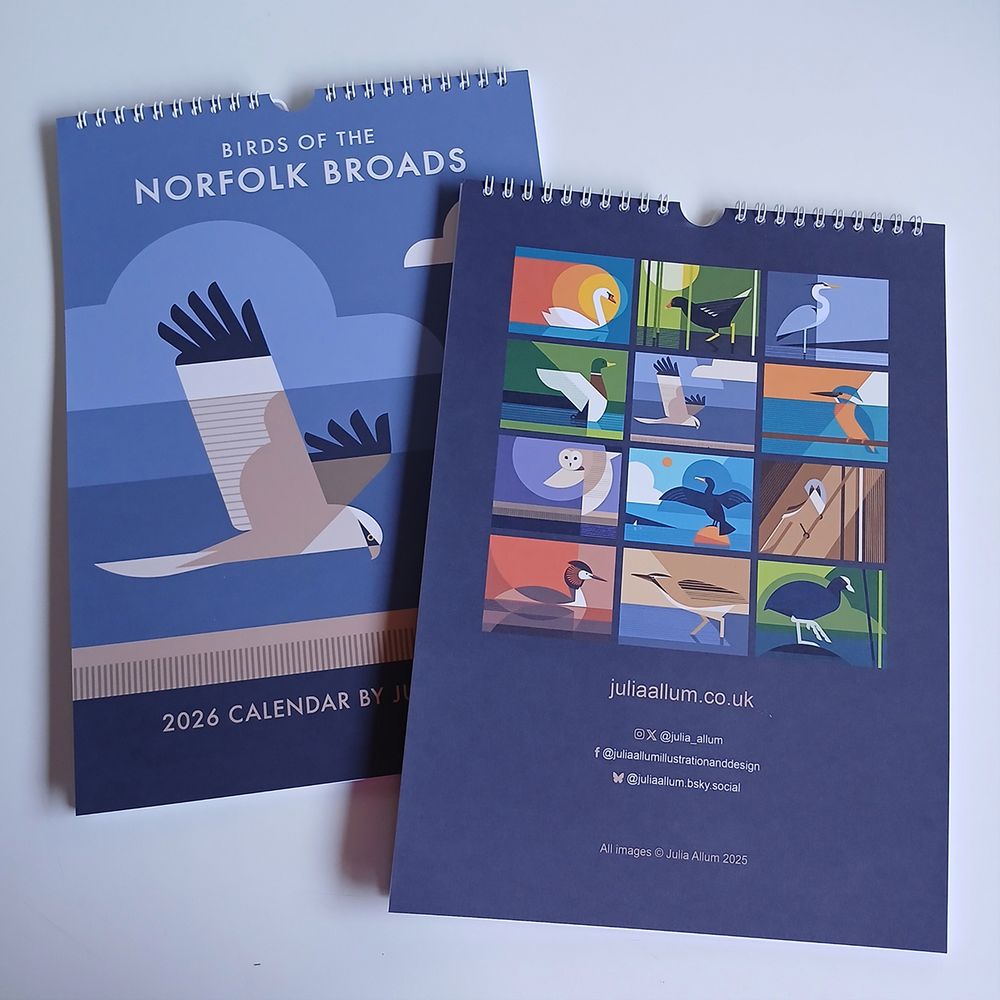 A photo of the front and back of a calendar 'Birds of the Norfolk Broads'. Geometric illustration of a marsh harrier on the front, and 12 bird illustrations on the back in a grid layout.