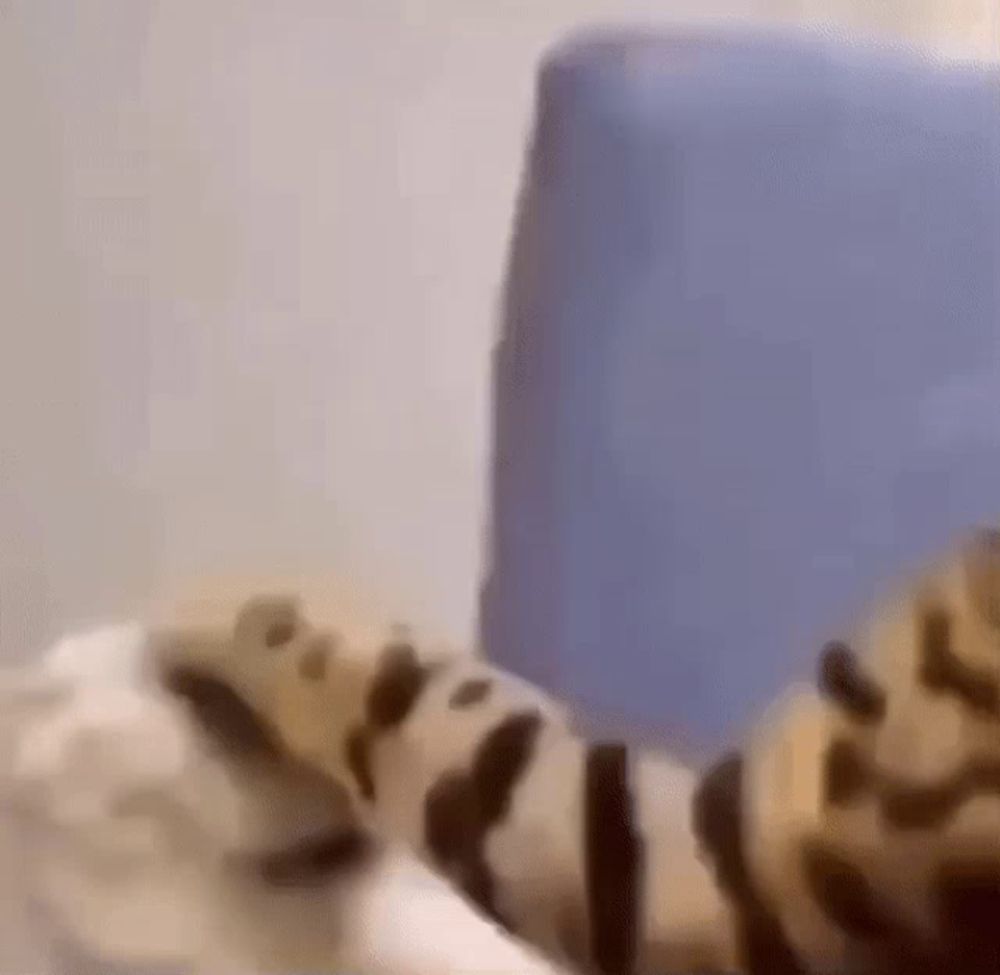 a blurry picture of a leopard print cat laying on a bed .