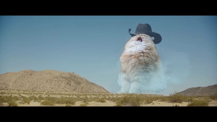 A giant cat in the sky above a desert with a cowboy hat on sings