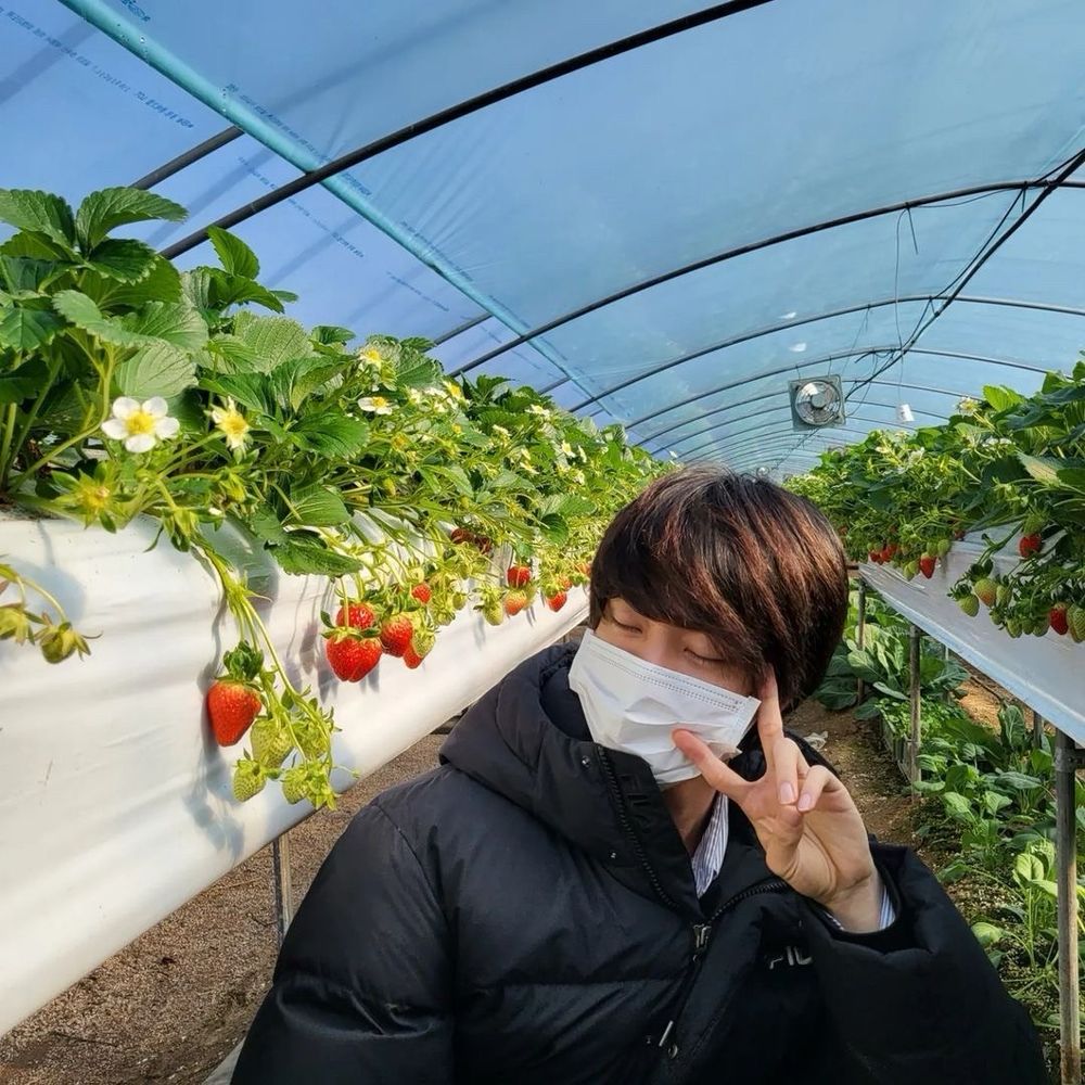Seokjin at a strawberry farm. He is posing in front of strawberries. He closed his eyes and made a peace sign.