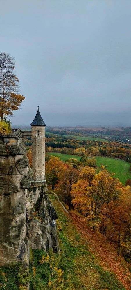 Foto der Burgmauer mit buntem Laubwald unten drunter.